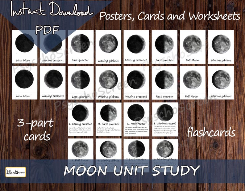 Moon Unit Study: Homeschool Science, Lunar Cycle Activities (PDF ...