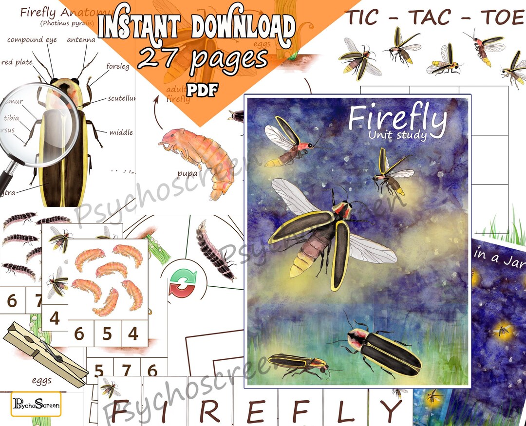Firefly Unit Study for Kids: Watercolor Anatomy, Life Cycle, Games ...