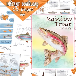 RAINBOW TROUT Unit Study, afdrukbare vissenbundel met anatomie, levenscyclus, 3D-model, kaarten, montessorimaterialen voor vissen of rivier