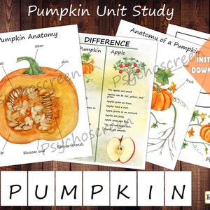 PUMPKIN Einheitsstudie, MINI druckbares Kürbisbündel, Anatomie-Set, Unterschiedplakat, Montessori-Materialien für Herbst, Pflanzen, Gartenarbeit