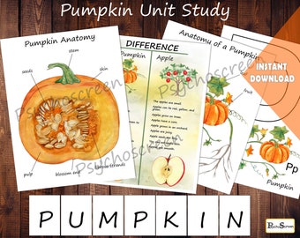 Watercolor Pumpkin Anatomy Study: Montessori Fall Printable (Digital Download)