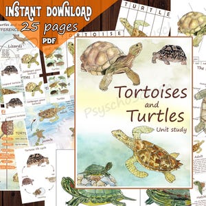 TORTUGA y TORTUGA Unidad de estudio para Anatomía, Ciclo de vida, Diferencias, Especies, Tarjetas, Pósteres, Rompecabezas, Materiales Montessori para reptiles