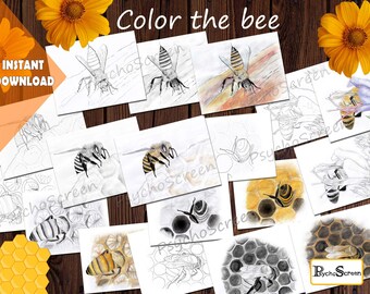 Kleurplaten honingbij aquarel zonder kunstmatige intelligentie: educatieve leerbladen (pdf-download)
