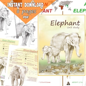 ELEPHANT Einheitsstudie: Druckbares Elefantenbündel mit Anatomie, Diagramm, Karten, Fakten, Postern, bearbeitbaren Montessori-Materialien für Säugetiere