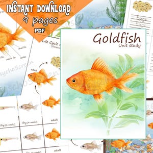 GOLDFISH Unit Study, Printable fish bundle with Anatomy, Life cycle, Cards, Make your aquarium,  Montessori materials for fishes
