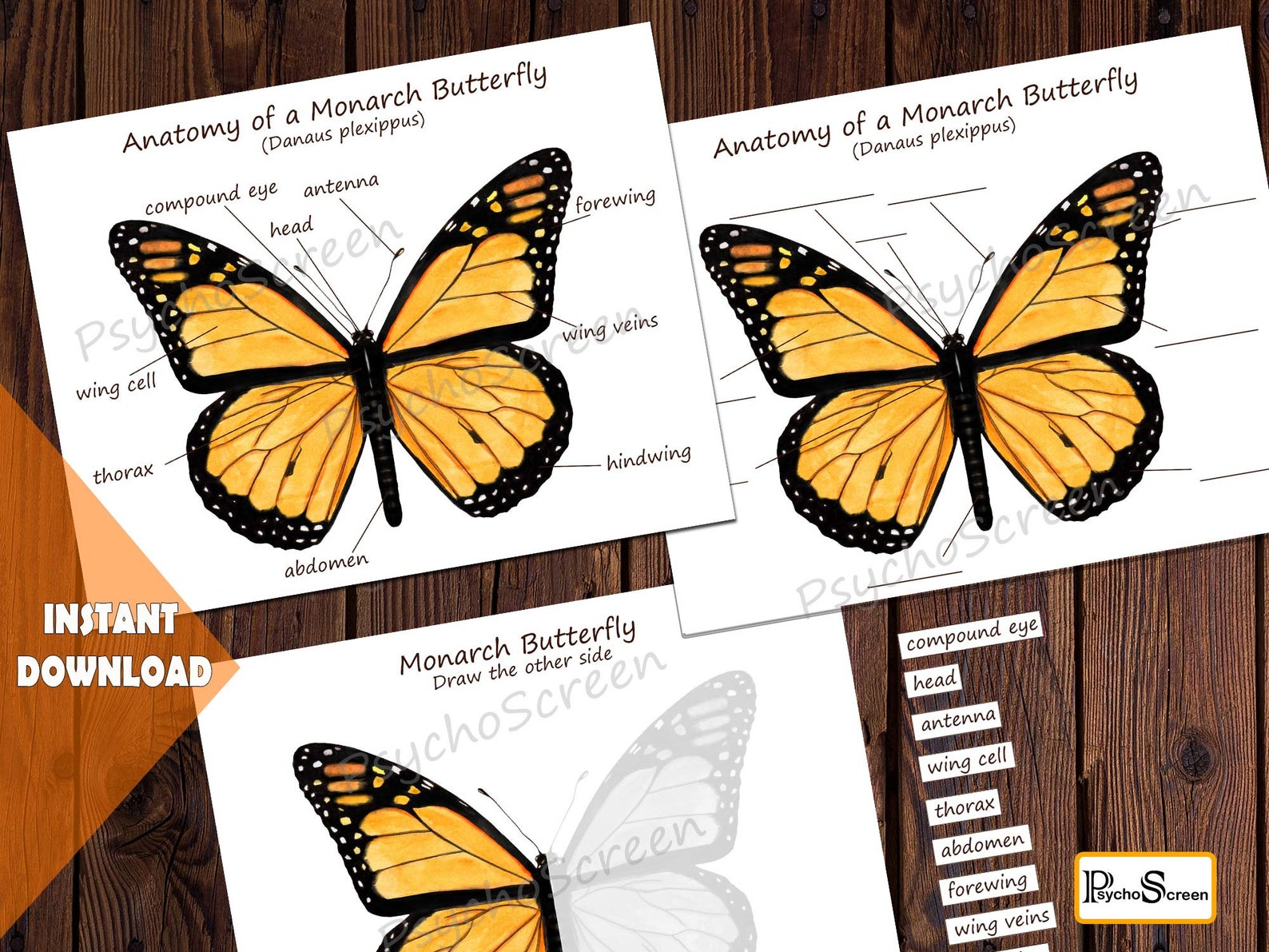 MONARCH BUTTERFLY Unit Study MEGA Printable Butterfly Bundle Etsy