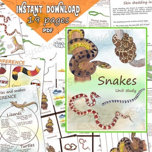 Estudo de unidade SNAKES, pacote para impressão com anatomia, diagrama, ciclo de vida, cartões, pôsteres, quebra-cabeça, materiais para répteis