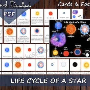 Può includere: Un grafico colorato che illustra il ciclo di vita di una stella. Il grafico mostra le fasi della vita di una stella, da una nebulosa a un buco nero. Il grafico include immagini di ogni fase, nonché descrizioni di testo. Il grafico è intitolato "Ciclo di vita di una stella".