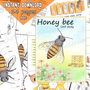 HONINGBIJ Unit Study, afdrukbare bijenbundel met anatomie, diagram lichaamsdelen, levenscyclus, spinnewiel, montessorimaterialen voor insecten