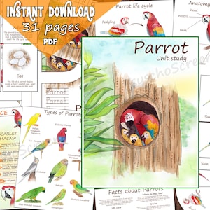 Estudio de la unidad PARROT: Kit de aprendizaje imprimible sobre loros con anatomía, ciclo de vida, especies, tarjetas y tarjetas didácticas, materiales Montessori para aves