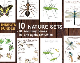 Montessori 10 NATURE SETS - Bundle of Insects anatomy and life cycle prints - Homeschooling - Montessori materials