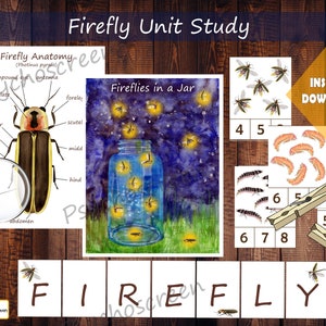 FIREFLY Unit Study • MEGA Printable fireflies bundle • Lighting bugs • Anatomy, life cycle, cards, games, posters • Montessori materials