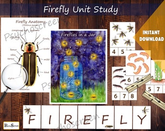 FIREFLY-Einheitsstudie • MEGA-Paket mit druckbaren Glühwürmchen • Lichtkäfer • Anatomie, Lebenszyklus, Karten, Spiele, Poster • Montessori-Materialien