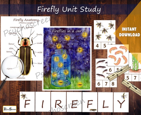 FIREFLY Unit Study MEGA Printable Fireflies Bundle | Etsy