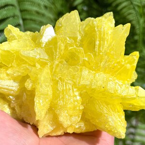 Top Raw Crystal Specimen-Fascinating Yellow native Sulfur Crystal-Chakra-Meditation/specimen/Feng Shui/Healing crystal/Energy stone