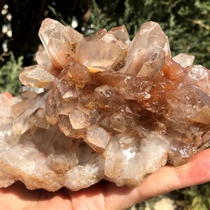 Peut inclure: Un amas de cristaux de quartz transparents avec une teinte brun rougeâtre. Les cristaux sont disposés en amas, certains pointant vers le haut et d'autres vers le bas. Les cristaux sont translucides et ont un éclat vitreux.