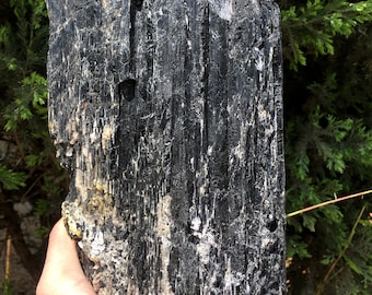 Pietra di tormalina nera grezza naturale di grandi dimensioni grezza di alta qualità/Quarzo di tormalina nera grezza/Campione di minerale di tormalina/Pezzo di tormalina nera