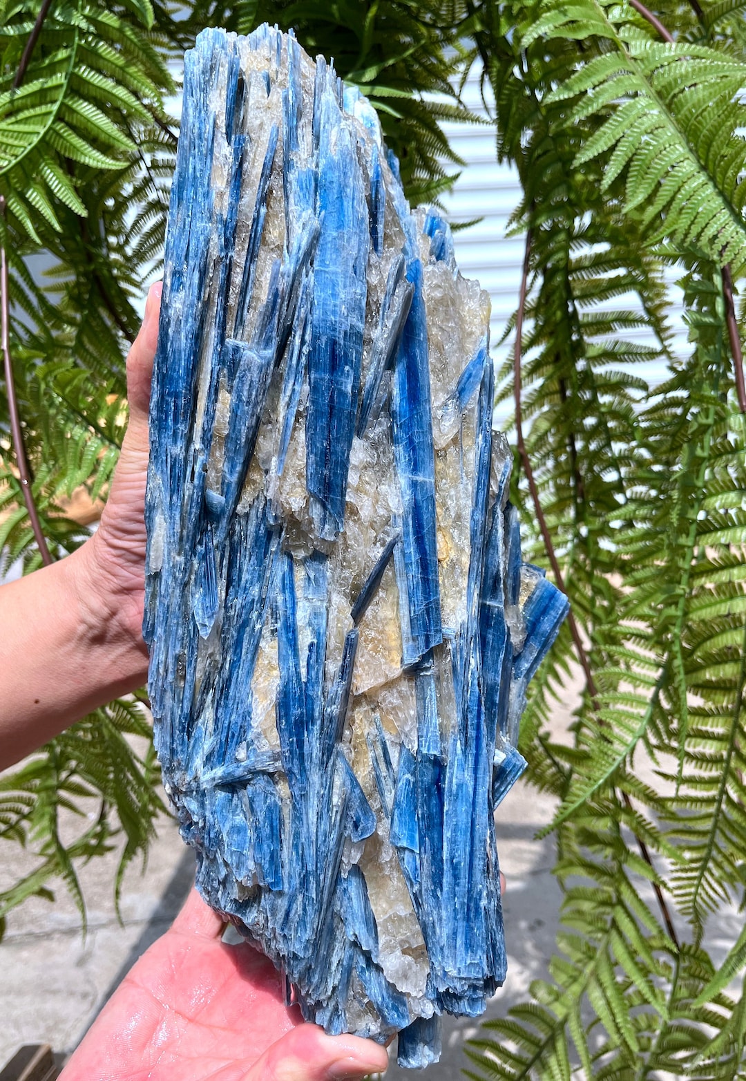Kyanite Bleue Naturelle Du Népal - 1,49 Carat - 8x6 Mm - Non Traitée - Rare