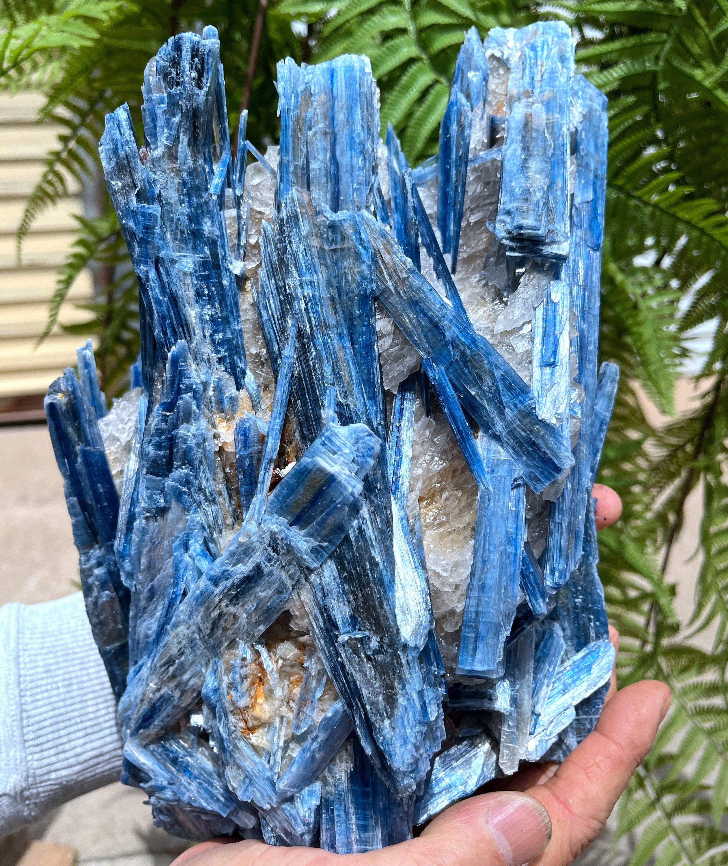 Natural Large Rare Kyanite/blue Kyanite/feng Shui/meditation