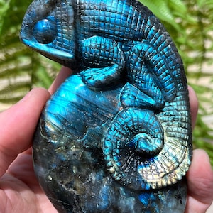 Hand carved Sheen Labradorite Crystal Quartz lizard/Shiny Polished Labradorite/Chakra Reiki/Home Decor/collectibles/Healing Stone/Chakra