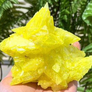 Top Raw Crystal Specimen-Fascinating Yellow native Sulfur Crystal-Chakra-Meditation/specimen/Feng Shui/Healing crystal/Energy stone