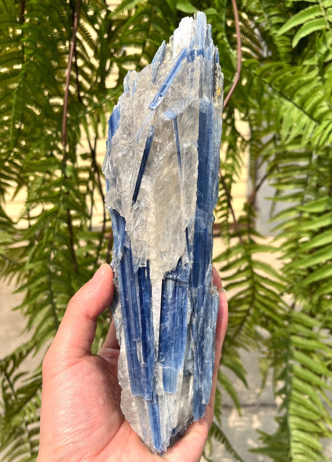 Natural Large Rare Kyanite/blue Kyanite/feng Shui/meditation