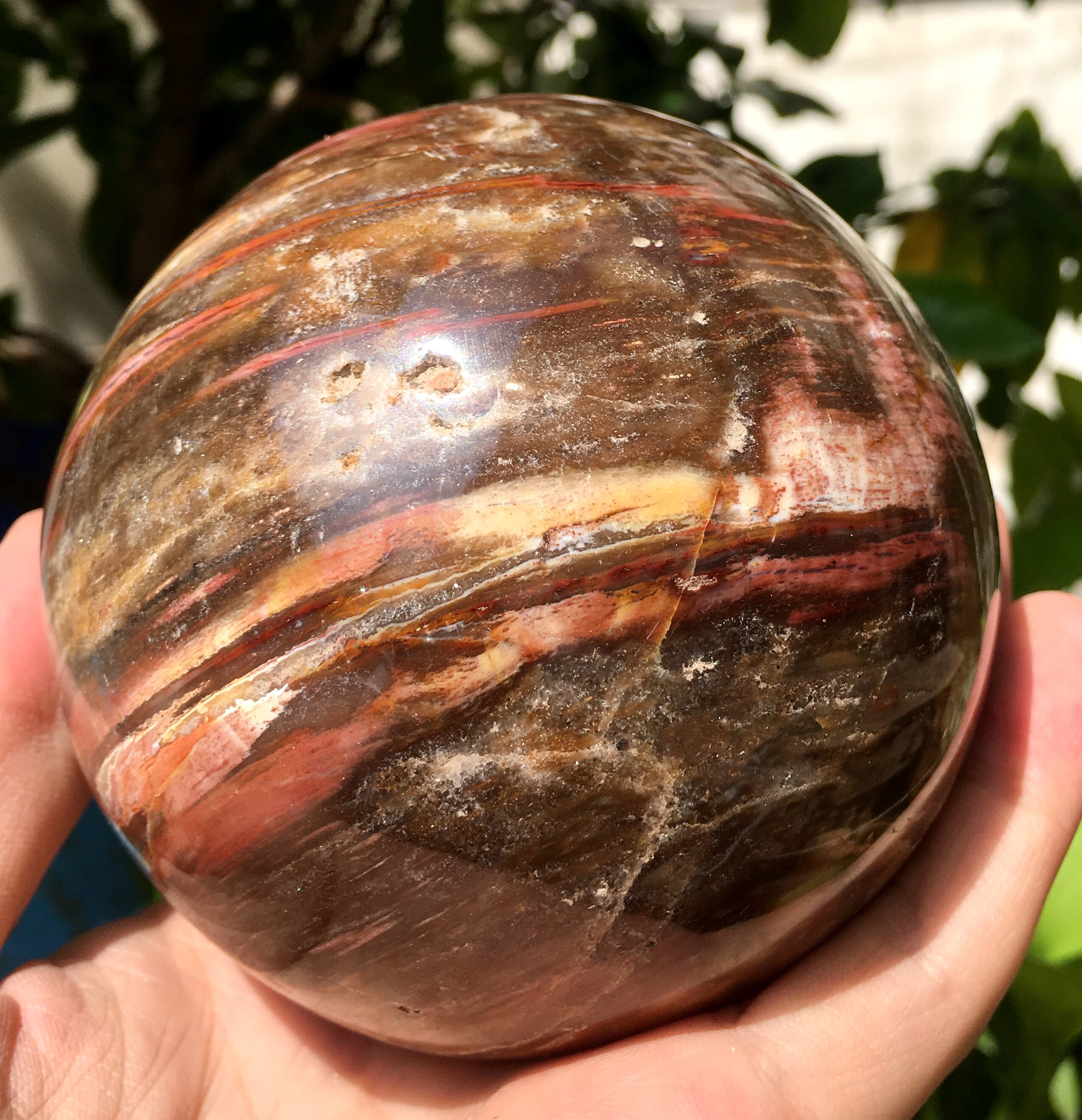 Natural large Petrified Wood Stone/petrified wood ball/Wood Etsy