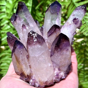 purple Cactus Quartz Cluster/Stunning Clear Points with Phantom Inclusions/Angel Aura Quartz Crystal Cluster/Reiki/Meditation/self stand