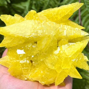 Top Raw Crystal Specimen-Fascinating Yellow native Sulfur Crystal-Chakra-Meditation/specimen/Feng Shui/Healing crystal/Energy stone