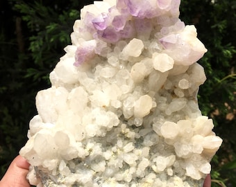 LARGE Naturale Raw Himalaya Clear Abundance Quartz Cluster - Ametest / White Abbondanza Quartz Cluster / Generatore ricevitore Quartz-Reflect Light