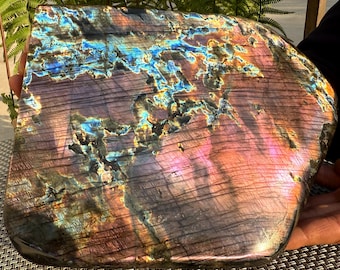 May include: A large, polished labradorite stone with a vibrant display of colors. The stone features a mix of purple, blue, and orange hues, with a textured surface and natural patterns. The gemstone is held in a hand, showcasing its size and unique appearance.