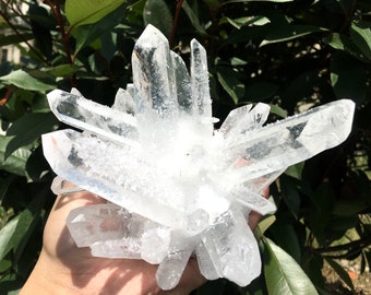 Angel Aura Quartz Himalaya Clear Abundance Quartz Cluster/White Abundance Quartz Cluster/Receiver Generator Quartz-Reflect Light