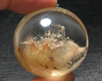 May include: A clear glass sphere with a delicate, feathery, light brown and white flower preserved inside. The flower is suspended in the center of the sphere, creating a unique and intricate design.