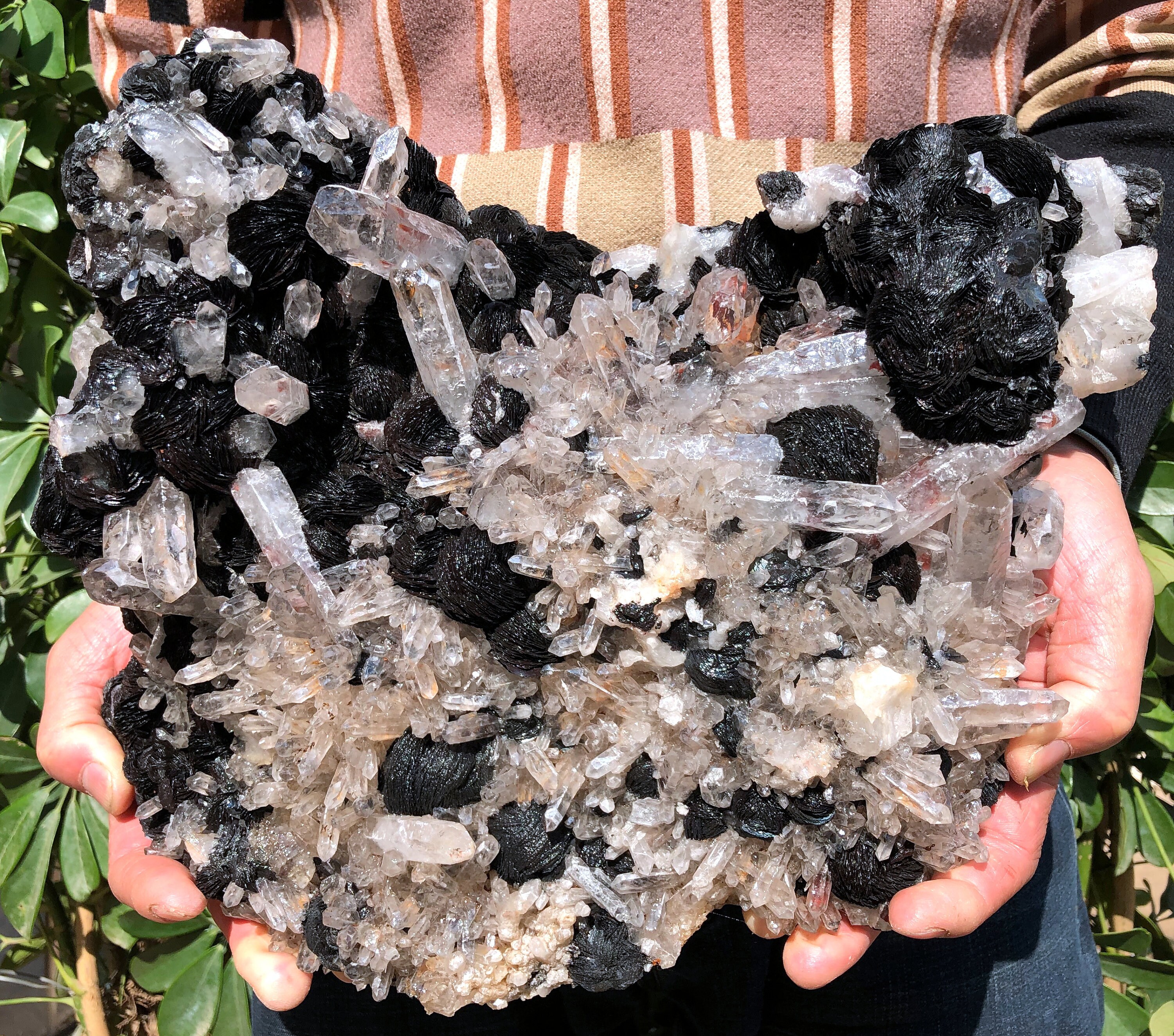 Large Raw Clear Abundance Quartz Cluster+specular hematite/white Quartz Cluster/Quartz/Rough white Abundance Crystal Plate/Healing Crystal