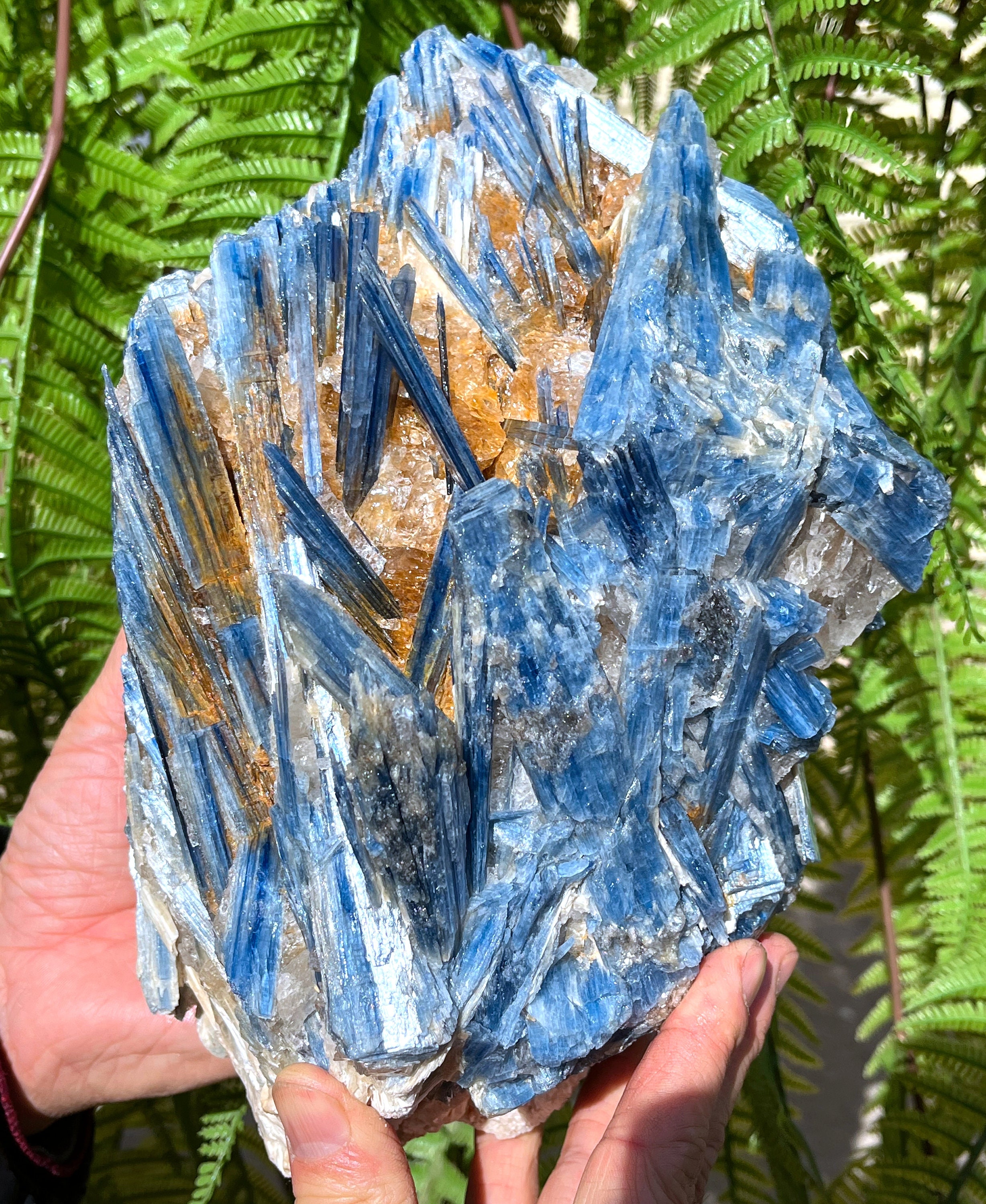 chie　天然石 Natural Large Rare Kyanite/blue Kyanite/feng Shui/meditation