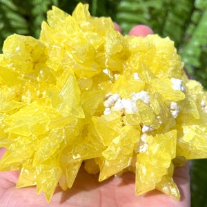 Top Raw Crystal Specimen-Fascinating Yellow native Sulfur Crystal-Chakra-Meditation/specimen/Feng Shui/Healing crystal/Energy stone