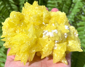 Top Raw Crystal Specimen-Fascinating Yellow native Sulfur Crystal-Chakra-Meditation/specimen/Feng Shui/Healing crystal/Energy stone