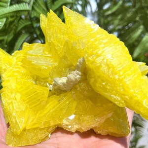 Top Raw Crystal Specimen-Fascinating Yellow native Sulfur Crystal-Chakra-Meditation/specimen/Feng Shui/Healing crystal/Energy stone