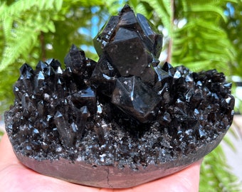 Top  Large Raw black Crystal Cluster/Black Quartz Cluster/Quartz Cluster/Rough Black Abundance Crystal Plate/Healing Crystal/Meditation