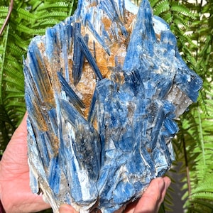 Natural Large Rare kyanite/Blue kyanite/Feng shui/Meditation/Special gift/Crystal grid/Natural mineral cluster stone/Rough Kyanite In Matrix