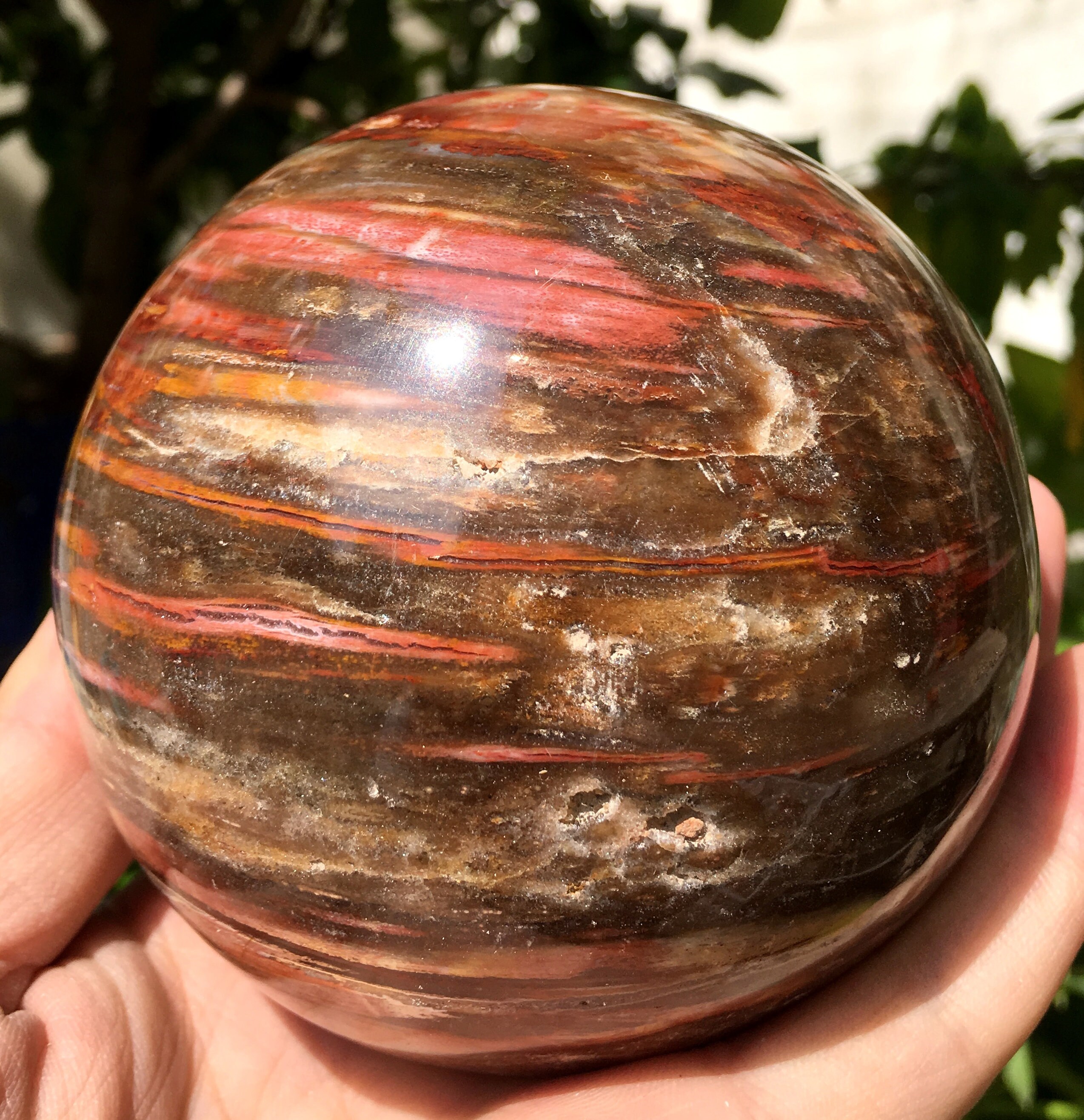 Natural large Petrified Wood Stone/petrified wood ball/Wood Etsy
