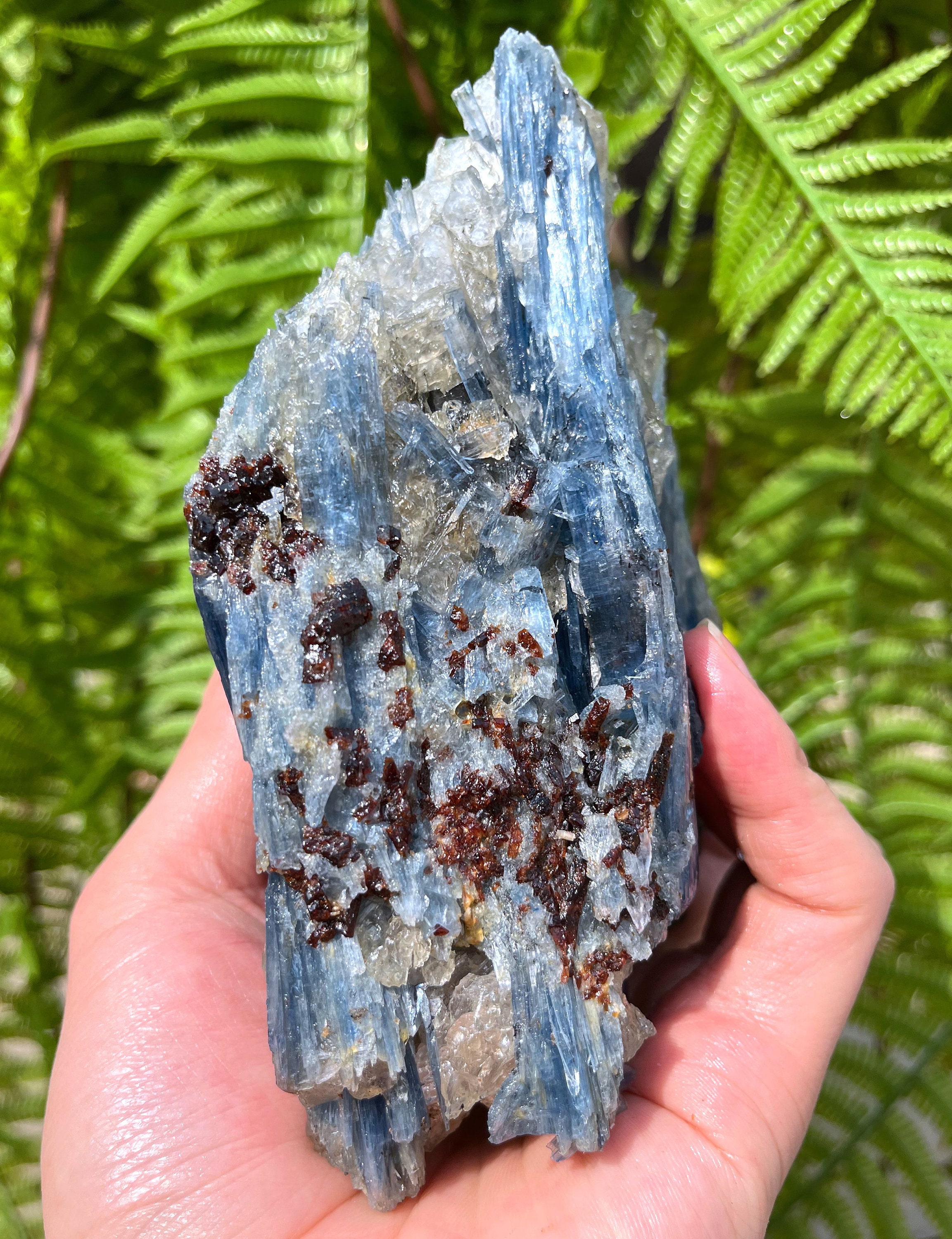 Natural Large Rare Kyanite/blue Kyanite/feng Shui/meditation