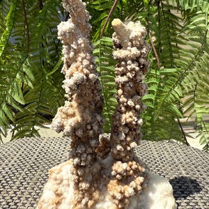 May include: A natural mineral specimen featuring two tall, vertical, stalactite-like formations rising from a broad, textured base. The structure is composed of clusters of small, light tan and cream-colored crystals with a rough, bumpy surface.