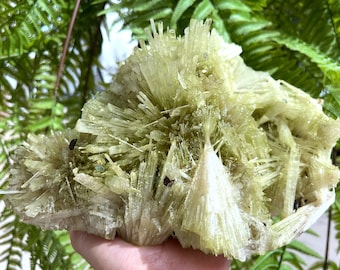 May include: A cluster of green and white crystals with a rough, natural texture. The crystals are arranged in a radial pattern, creating a unique and eye-catching display.