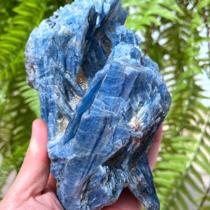 Natural Large Rare kyanite/Blue kyanite/Feng shui/Meditation/Special gift/Crystal grid/Natural mineral cluster stone/Rough Kyanite In Matrix