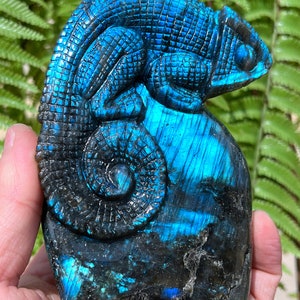 Hand carved Sheen Labradorite Crystal Quartz lizard/Shiny Polished Labradorite/Chakra Reiki/Home Decor/collectibles/Healing Stone/Chakra