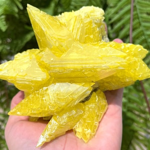 Top Raw Crystal Specimen-Fascinating Yellow native Sulfur Crystal-Chakra-Meditation/specimen/Feng Shui/Healing crystal/Energy stone