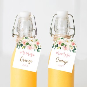 Momosa Juice Tags - 006