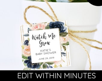 May include: A small white pot with a succulent plant and a blue and pink floral tag that says "Watch Me Grow" Katie's Baby Shower June 29, 2019.
