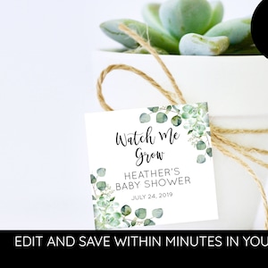 baby shower thank you tag for plant - baby shower watch me grow favor tag - Baby Shower Watch Me Grow - baby shower succulent party favors
